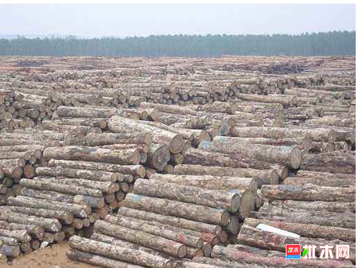 anywood.com