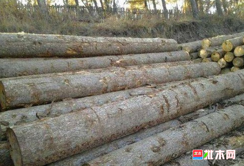 anywood.com