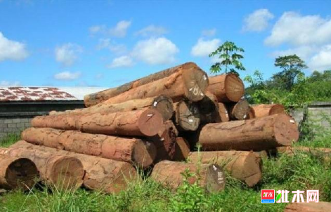 批木网 anywood.com