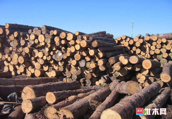 批木网 anywood.com