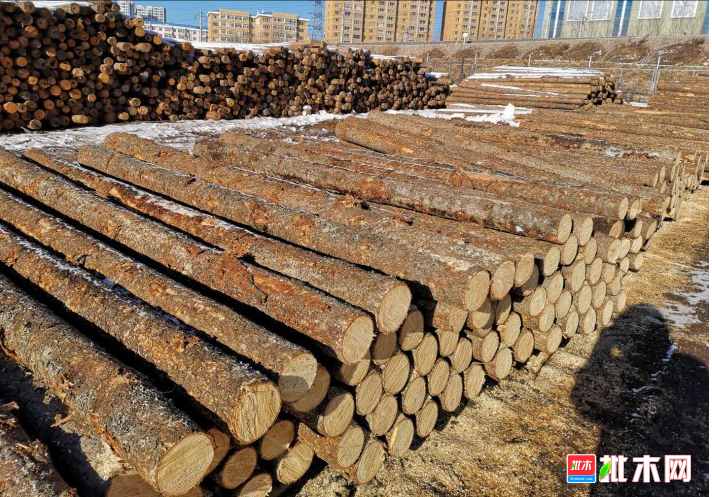 anywood.com