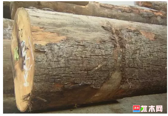 anywood.com