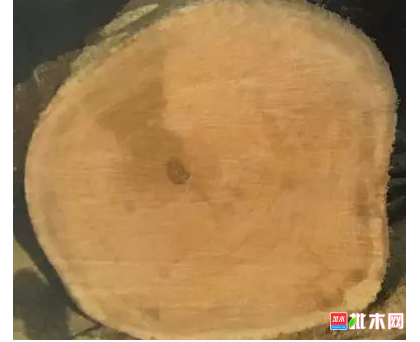 anywood.com