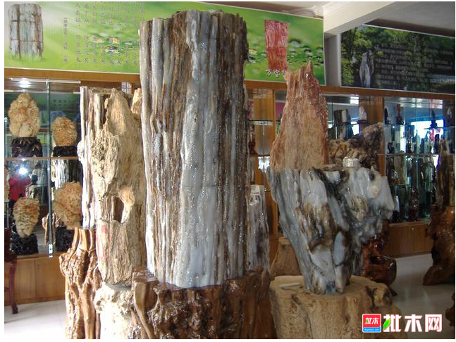 anywood.com