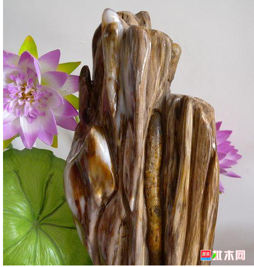 anywood.com