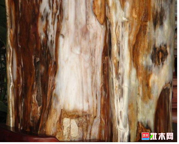 anywood.com