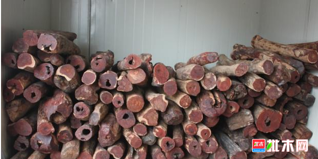 anywood.com