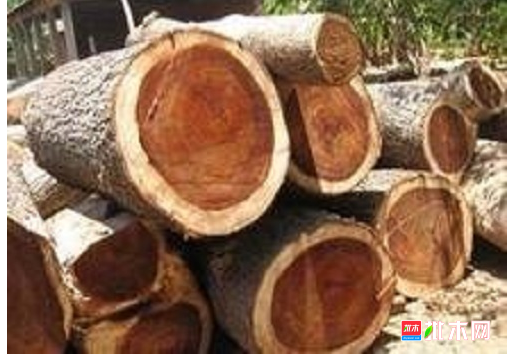 anywood.com