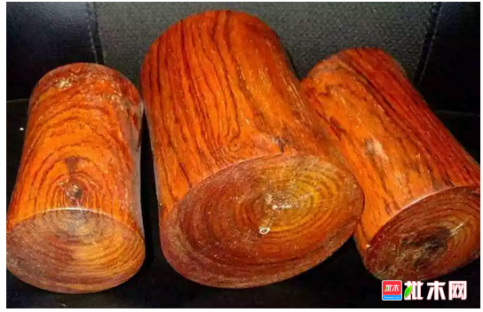 anywood.com