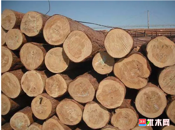 anywood.com