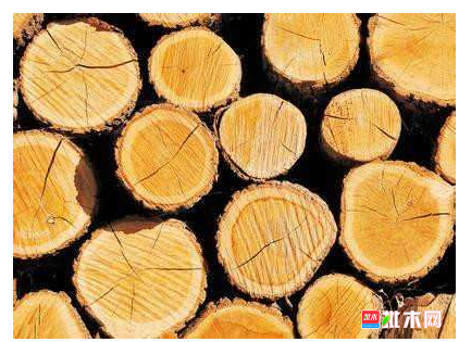 anywood.com