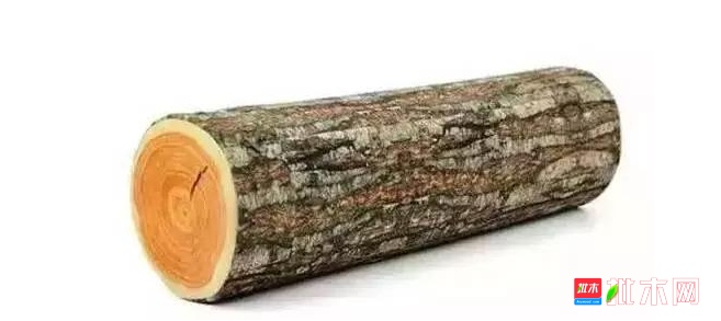 anywood.com
