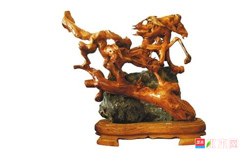 anywood.com