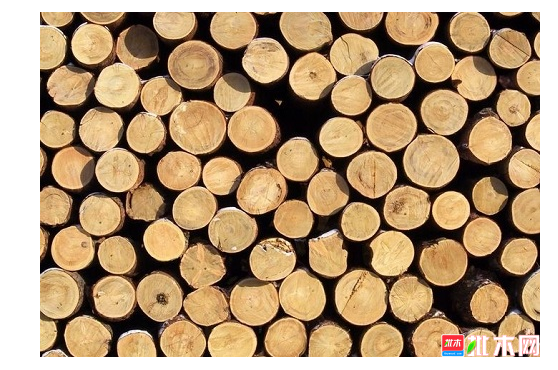 anywood.com