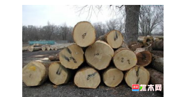 anywood.com