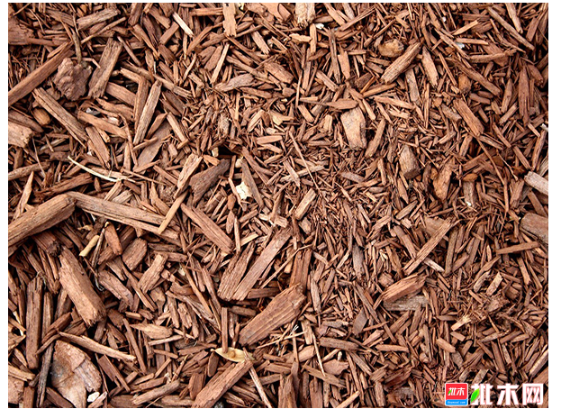 anywood.com