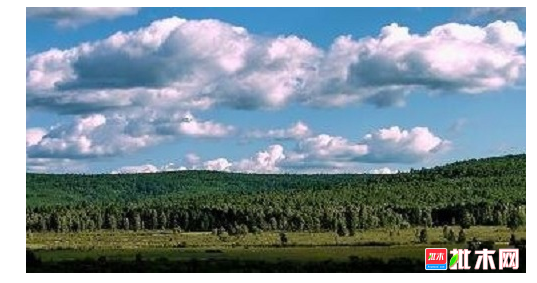 anywood.com