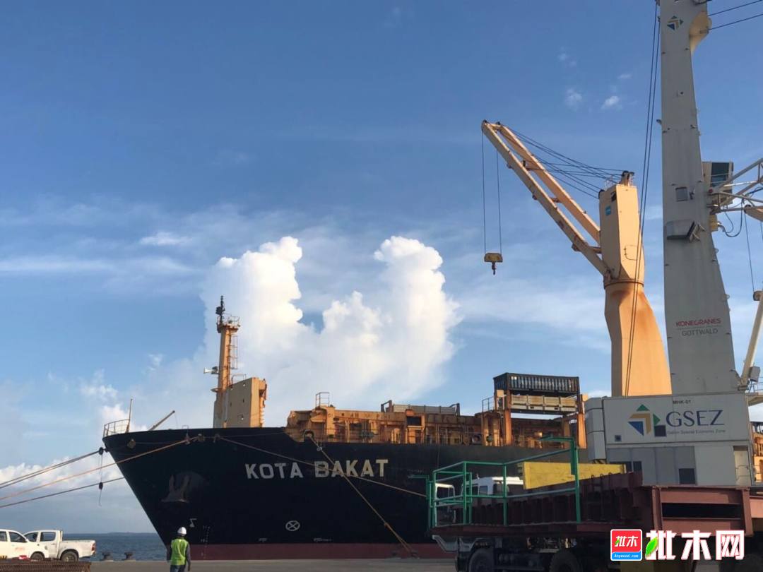 加蓬经济特区港口-批木网