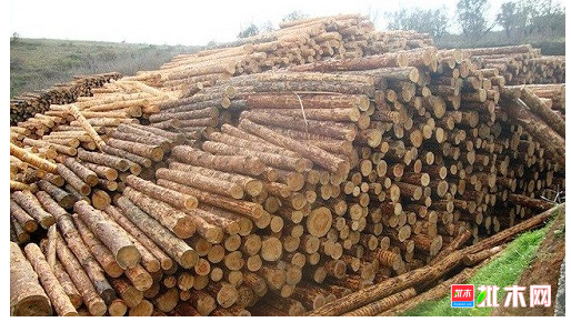 anywood.com