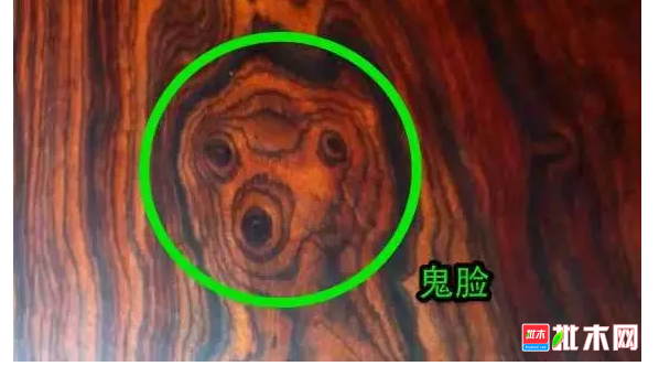 anywood.com