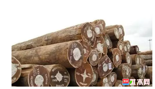 anywood.com