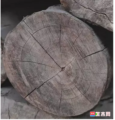 anywood.com