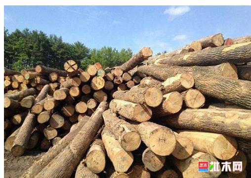 anywood.com