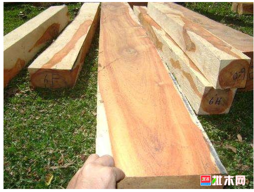anywood.com