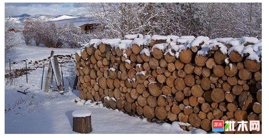 anywood.com
