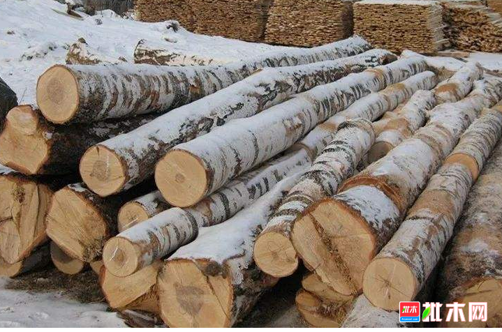 anywood.com