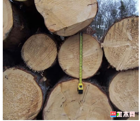 anywood.com