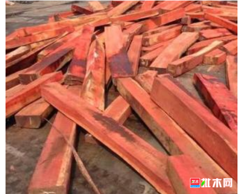 anywood.com