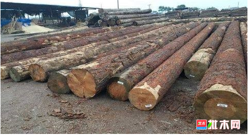 anywood.com