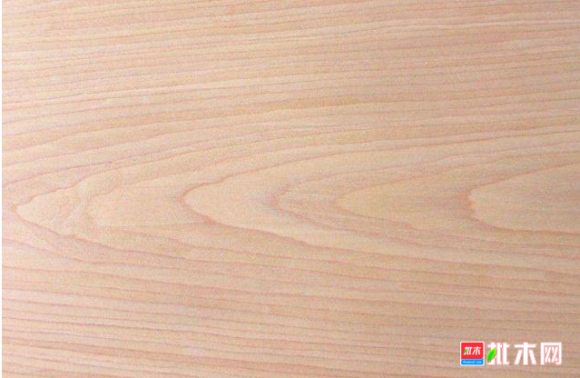 anywood.com