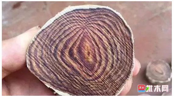 anywood.com