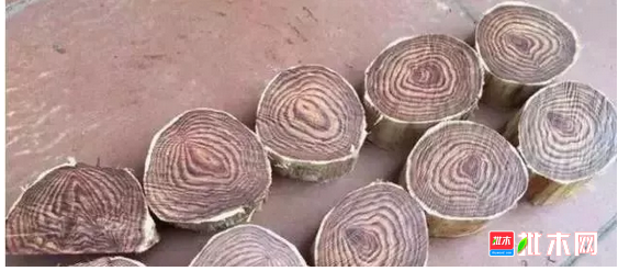 anywood.com