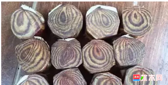 anywood.com