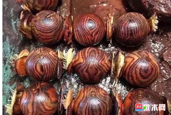 anywood.com