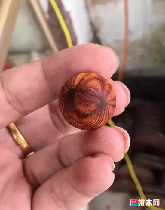 anywood.com