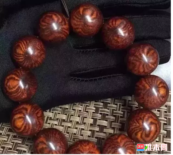 anywood.com