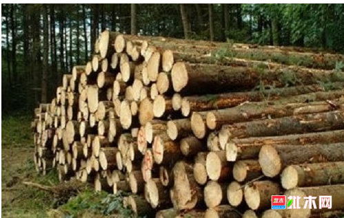 anywood.com