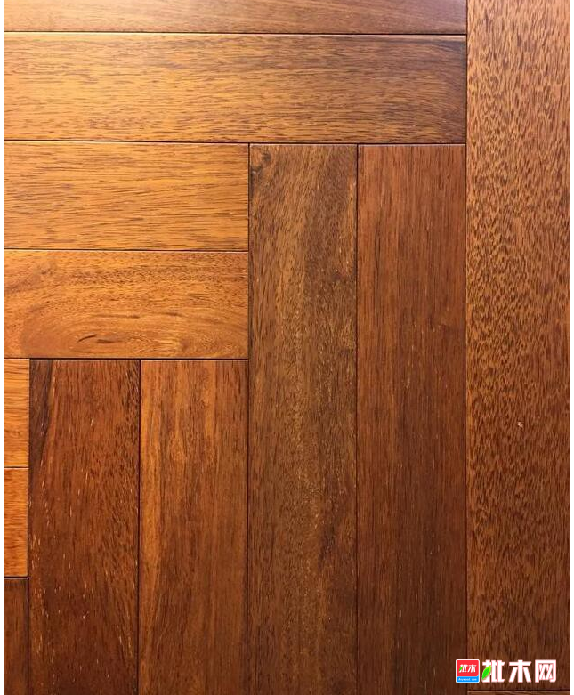 anywood.com