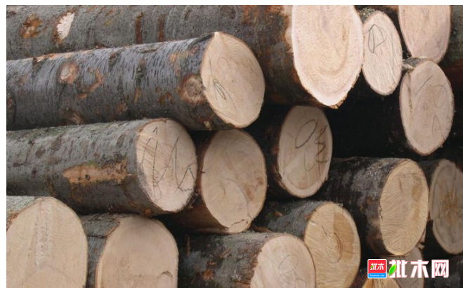 anywood.com