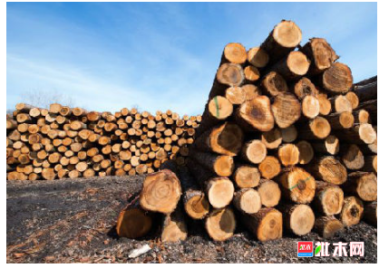 anywood.com