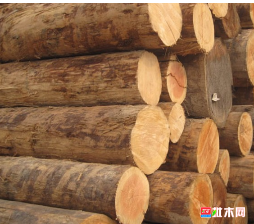 anywood.com