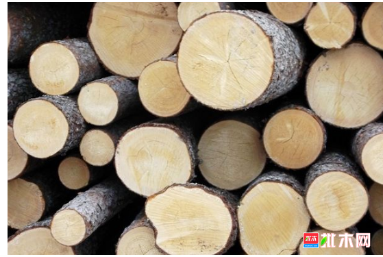 anywood.com