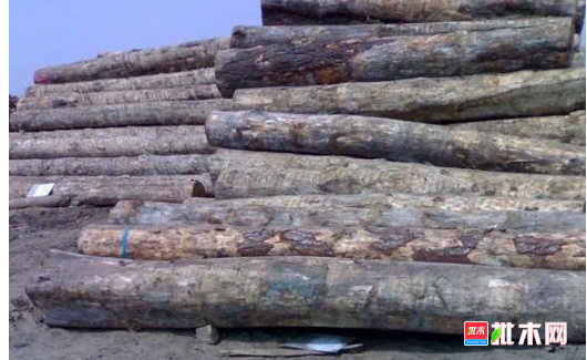 anywood.com