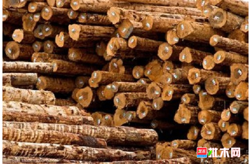 anywood.com