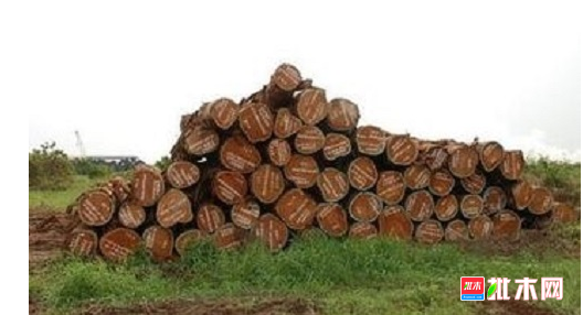 anywood.com
