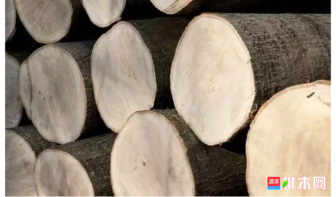 anywood.com